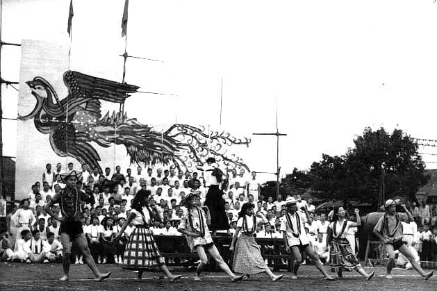 ファイル:5510 TheLargestRedBackP.jpg