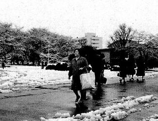 花に雪の入学式