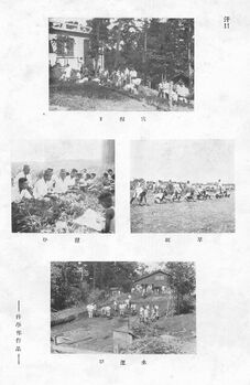 穴掘り 草取り 土運び