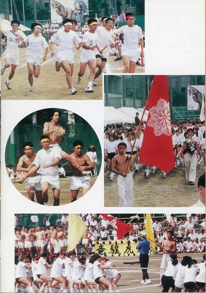 ファイル:菊香 29号 平成8年度 003 口絵02.jpg