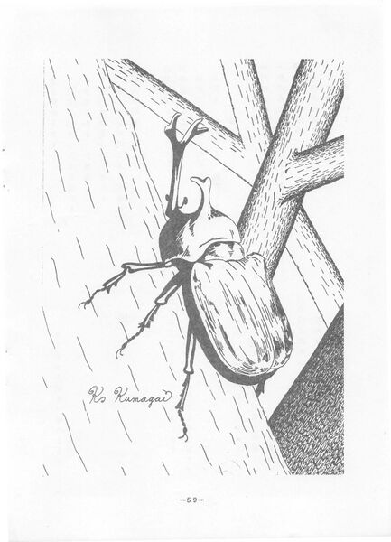 ファイル:菊香 8号 昭和50年度0001-63.jpg