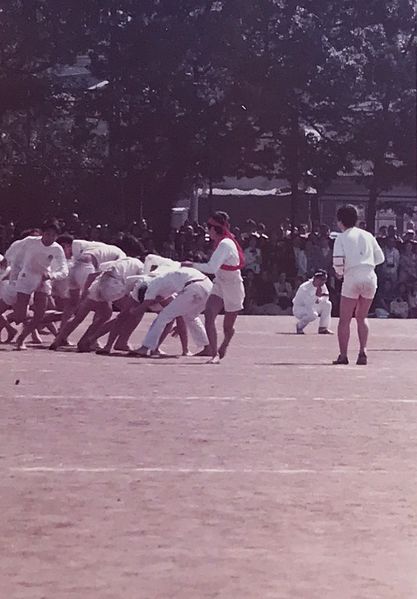 ファイル:高28回1C運動会 1.jpg