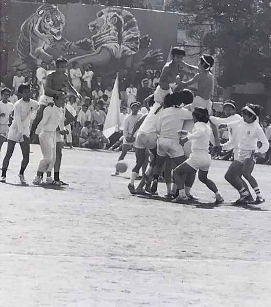 ファイル:高28回1C運動会 4.jpg