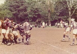 高28回 ラグビー班 092早実戦.jpg