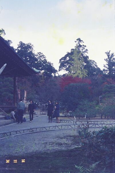 ファイル:高28回 修学旅行 1112FH000018.jpg