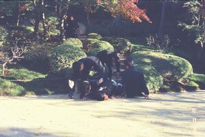 高28回 修学旅行 1112FH010008.jpg