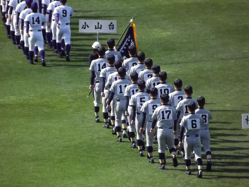 ファイル:高28回 2014選抜野球 003.JPG