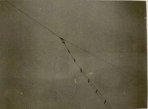 高28 ラジオ班(ハム)-4.jpg