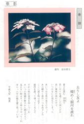 平成9年発行 八桜会通信 巻頭