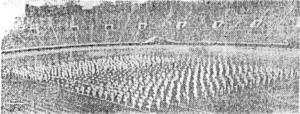 1960 小山台体操を体育大会で披露 60周年記念誌.png