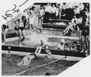 水泳（高21回生卒業アルバムより）