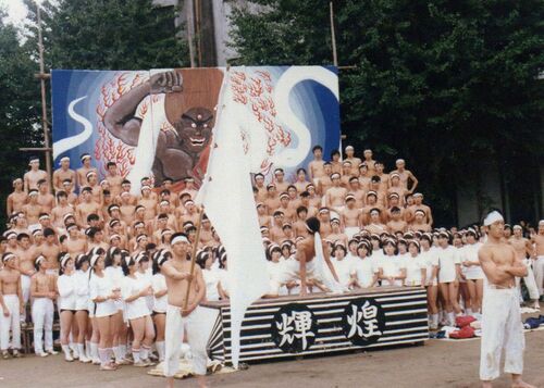 白組バックボード