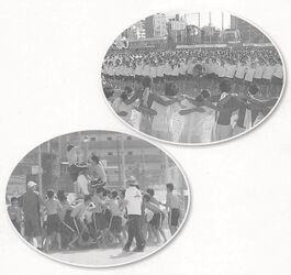 運動会(「菊香 45号」)