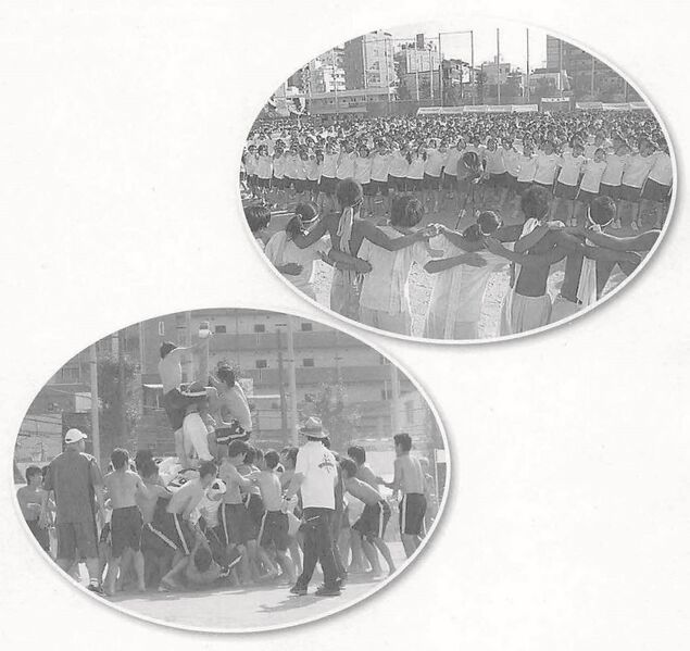 ファイル:2012年掲載 右.jpg