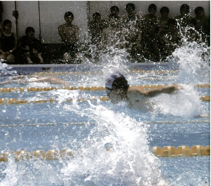 ファイル:2015 水泳大会.jpg