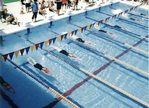 2016 水泳大会.jpg