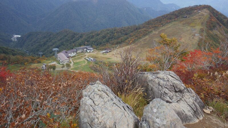 ファイル:Dummy 1B.JPG