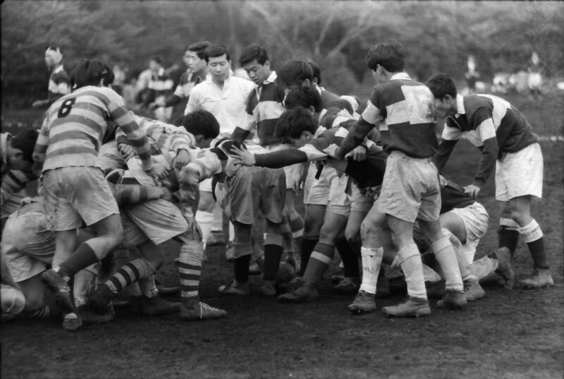 ファイル:Tuchi 3006.jpg