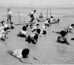 干潟で行われたガタリンピック(修学旅行)